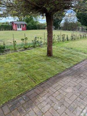 WhatsApp Image 2025-08-21 at 14.38.06.jpeg