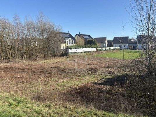Blick aufs Grundstück vom Damm