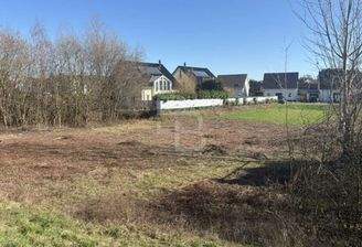 Blick aufs Grundstück vom Damm