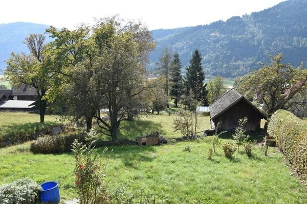 Grünfläche-Wiese