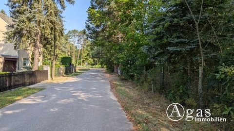 Borkheide Grundstücke, Borkheide Grundstück kaufen