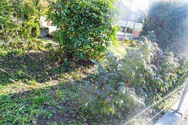 Gepflegte Außenanlagen