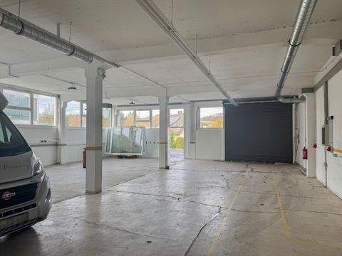 Sörth Halle, Sörth Hallenfläche