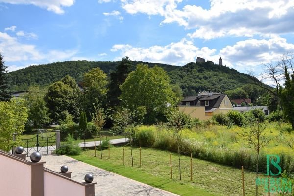 Blick von Terrasse/Burg Seebenstein