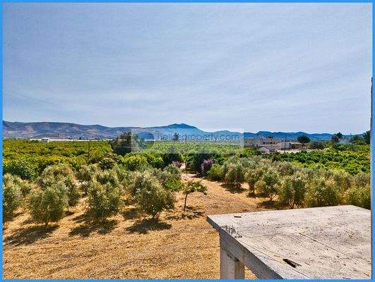 221b7fae65954de286a030947ee1df92-original