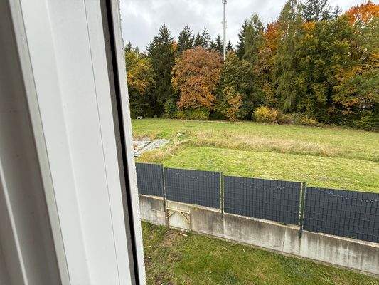 hinter dem Haus 3.JPEG