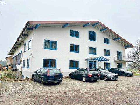 Rimsting Halle, Rimsting Hallenfläche