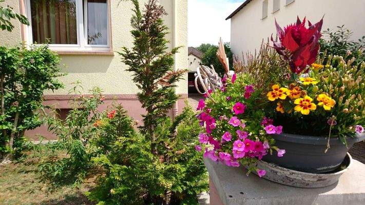 Hauseingangsbereich (Bild vom Juli).jpg