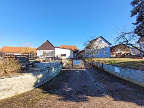 Niederaula Halle, Niederaula Hallenfläche