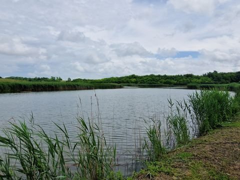 Lajoskomárom Bauernhöfe, Landwirtschaft, Lajoskomárom Forstwirtschaft