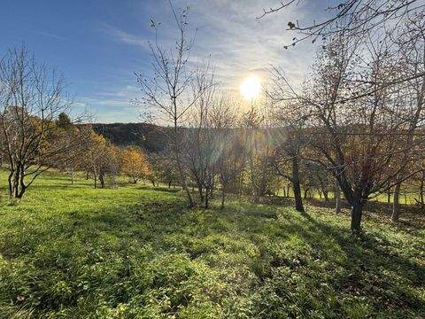 Ruppersdorf Bauernhöfe, Landwirtschaft, Ruppersdorf Forstwirtschaft