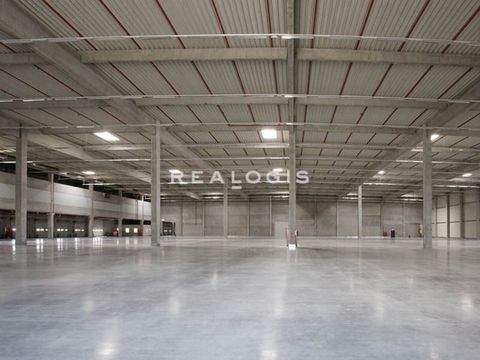 Neuss Halle, Neuss Hallenfläche