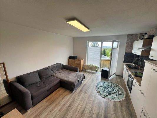 Offene Küche mit Wohnbereich