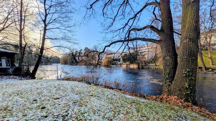 View from the Garden