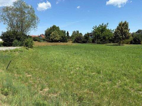 Landau an der Isar Grundstücke, Landau an der Isar Grundstück kaufen