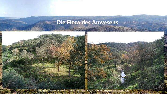 La Nueva Merced - Expose LRI - Deutsch-22.jpg