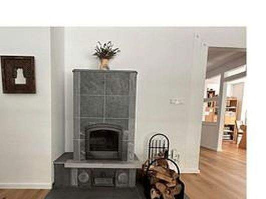 Tulikivi-Speckstein-Kaminofen