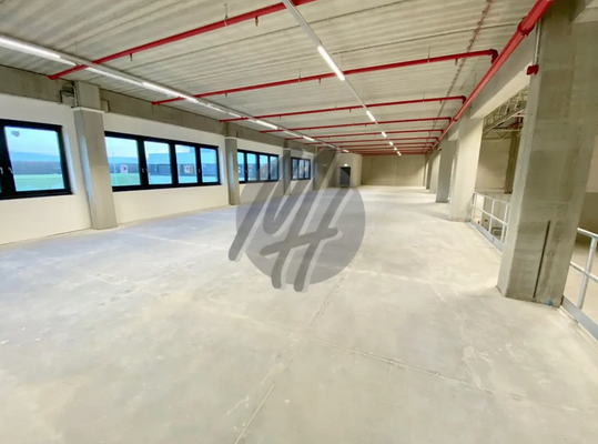 INFOS UNTER: 06171-586000