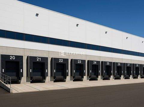 Neuss Halle, Neuss Hallenfläche