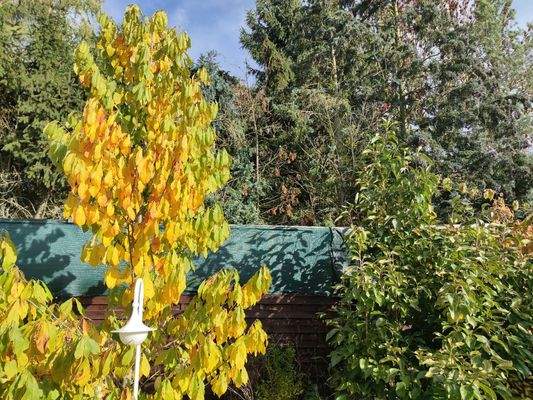 Foto 010 Maierbusch 15.jpg