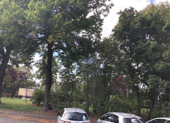 Kleiner Park vor dem Haus