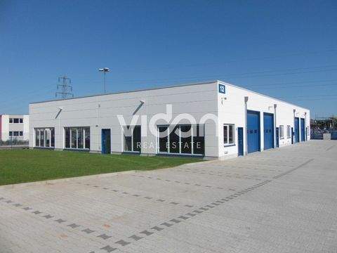 Köln Halle, Köln Hallenfläche