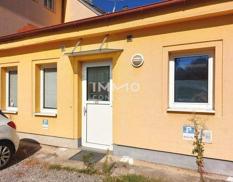 Traiskirchen Wohnungen, Traiskirchen Wohnung mieten