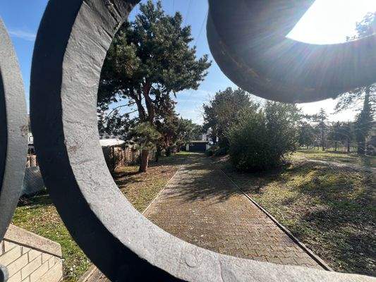 Blick aufs Grundstück