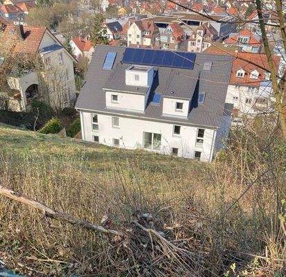 Gartengrundstück Weststadt.jpg