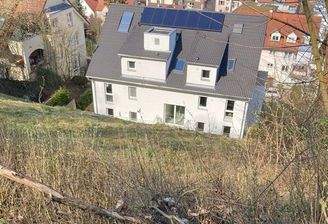 Gartengrundstück Weststadt.jpg