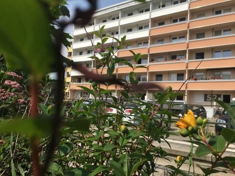 Dessau-Roßlau Wohnungen, Dessau-Roßlau Wohnung mieten
