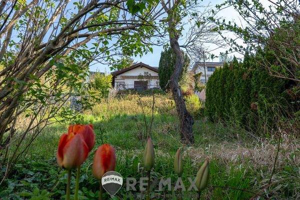 07_Garten Blick hinauf