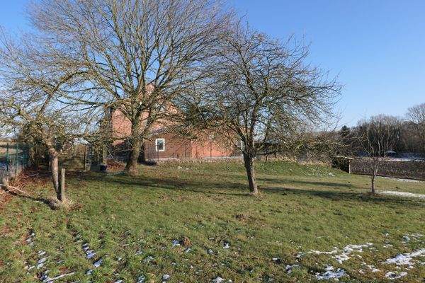 Blick von der Obstwiese