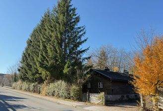 Baugrund im Mischgebiet mit Altbestand (0)