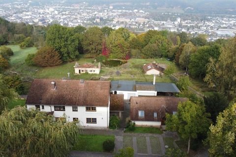 Trier-Petrisberg Häuser, Trier-Petrisberg Haus kaufen