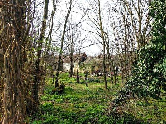 IMG_20250326_103145 (1) (1).jpg