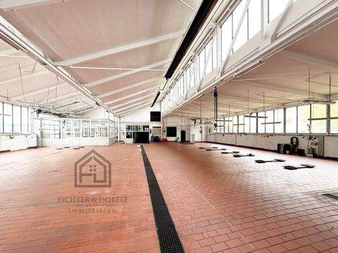 Tuttlingen Halle, Tuttlingen Hallenfläche