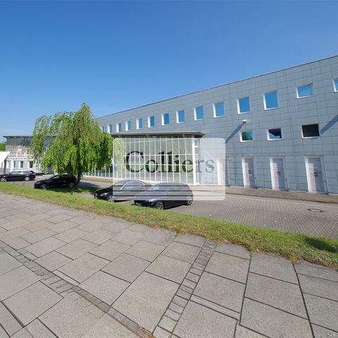 Buxtehude Halle, Buxtehude Hallenfläche