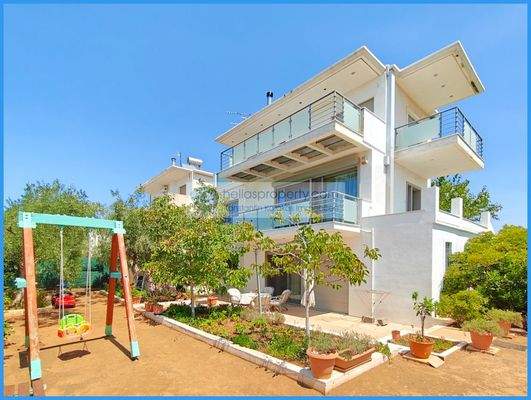 c8c70c217e0c4ae8b401be1a07839313-original