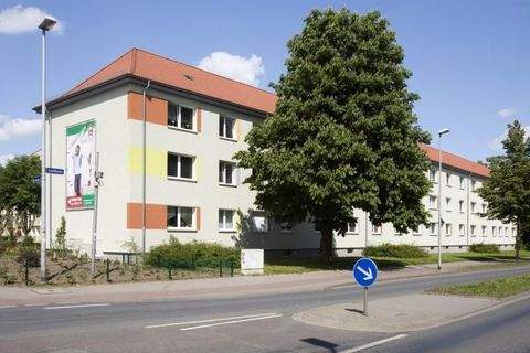 Magdeburg Wohnungen, Magdeburg Wohnung mieten