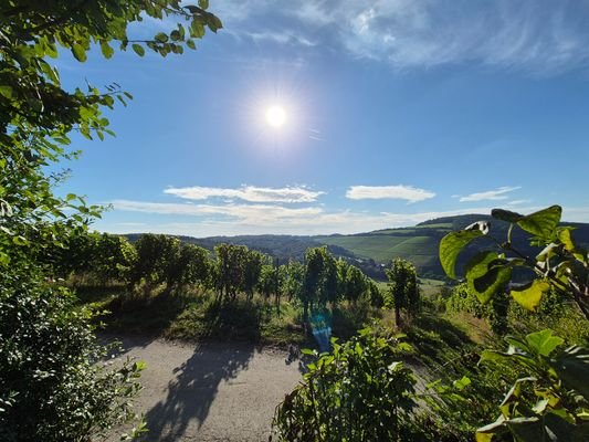 Aussicht in Richtung Weinberge und Tal