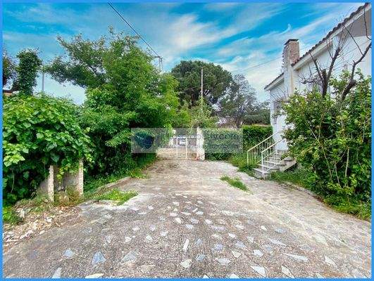 48e3140bc1684fd680b845776732ef58-original