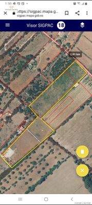 Grundstück Santa Margalida