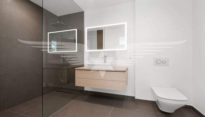 Gäste-Badezimmer EG