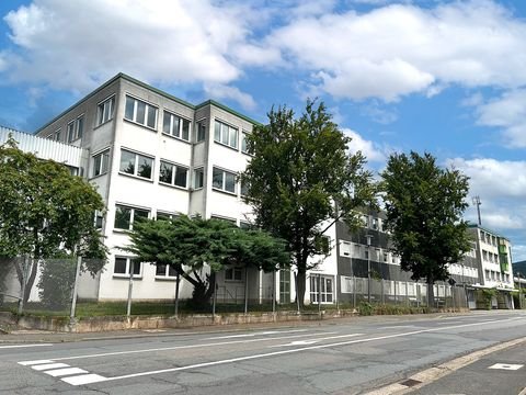 Collenberg Halle, Collenberg Hallenfläche