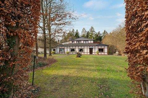 Seesen Häuser, Seesen Haus kaufen