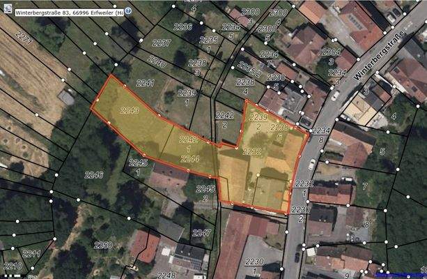 Lageplan-Topo_Erfweiler_Winterbergstr. 83-85