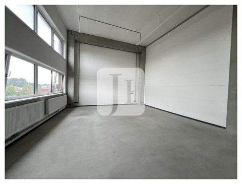 Hamburg Halle, Hamburg Hallenfläche