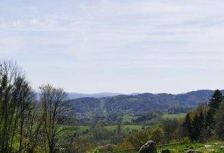 Zwingenberg.jpg