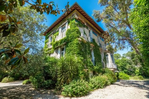 MARSEILLE Häuser, MARSEILLE Haus kaufen